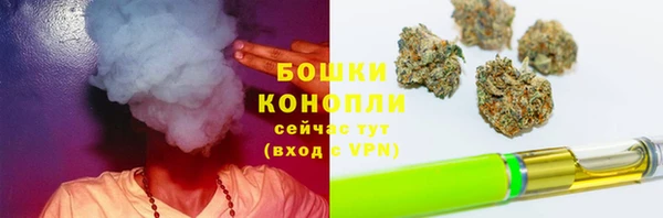 ГАЛЛЮЦИНОГЕННЫЕ ГРИБЫ Вязники