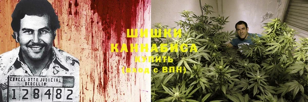 PSILOCYBIN Абинск