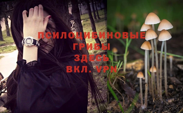 PSILOCYBIN Абинск