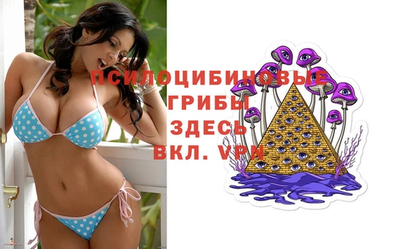 PSILOCYBIN Абинск