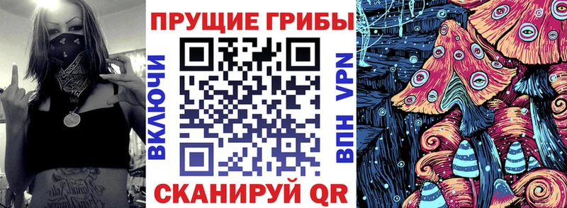 Псилоцибиновые грибы Cubensis  MEGA ONION  Суздаль  купить  сайты 